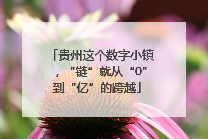 贵州这个数字小镇，“链”就从“0”到“亿”的跨越